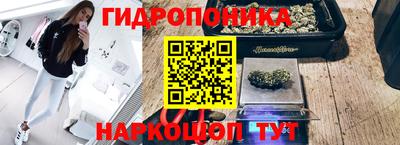 ПСИЛОЦИБИНОВЫЕ ГРИБЫ Уссурийск