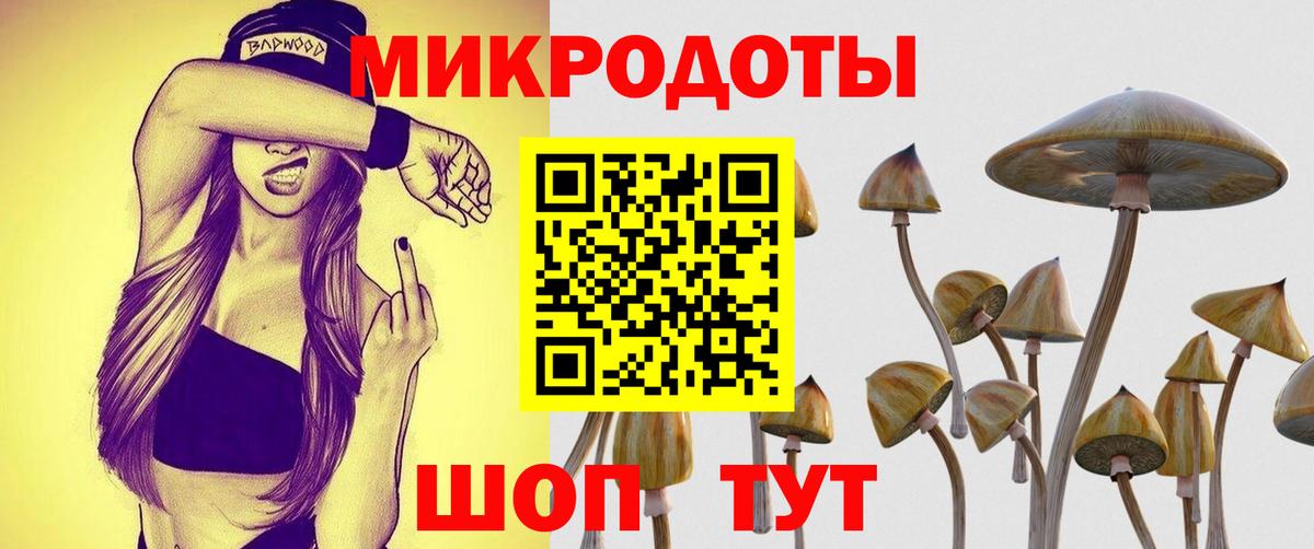 Псилоцибиновые грибы Psilocybe  Вход с VPN  Ноябрьск  Псилоцибиновые грибы мицелий 